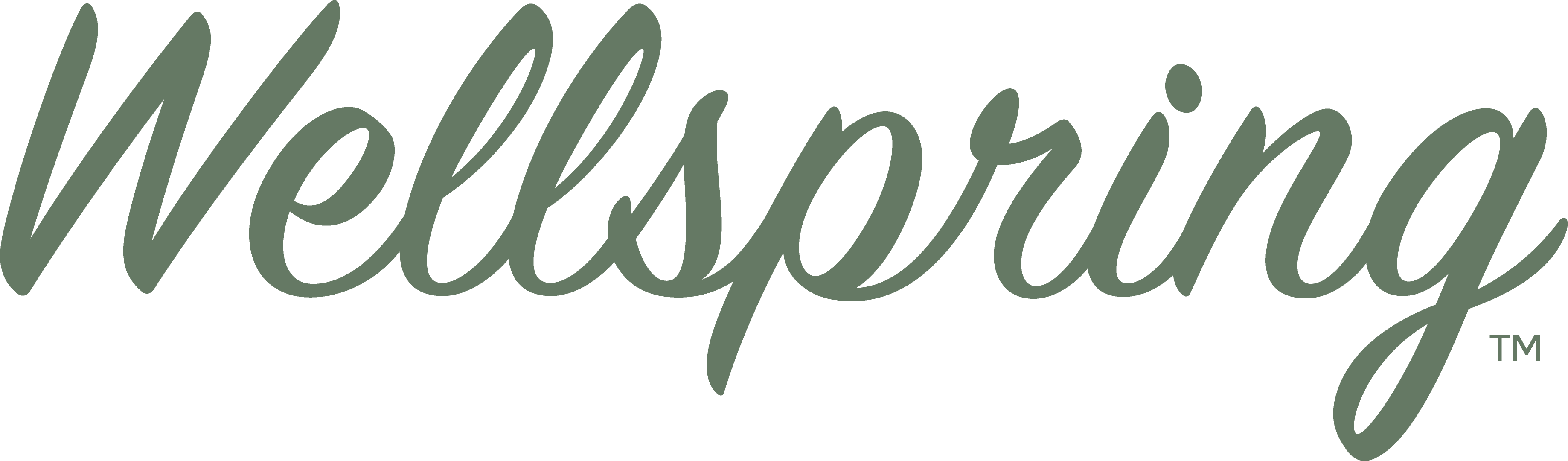 Wellspring
